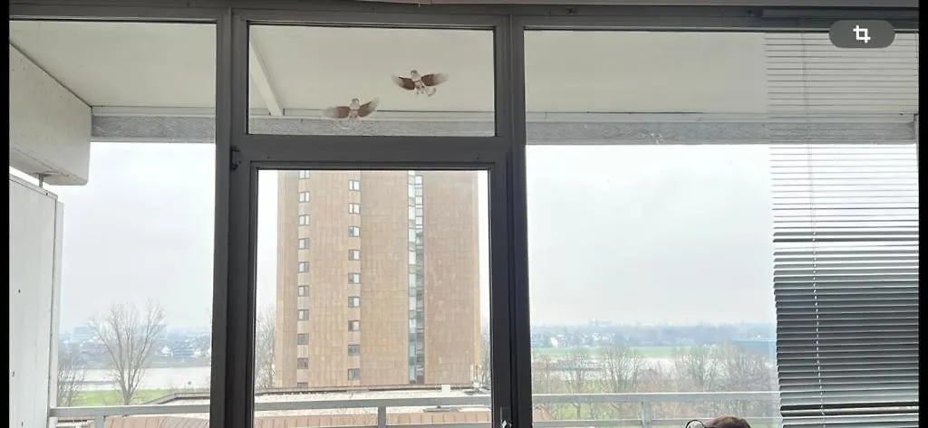 Top Rheinblick Apartment Neuss - Duesseldorf